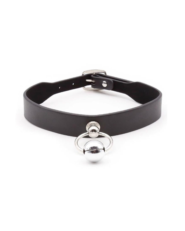 Collar with Bell and Leash