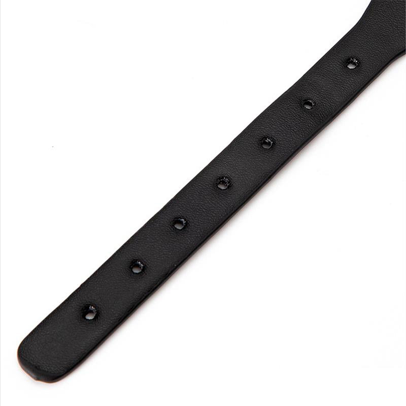 Collar with Bell and Leash