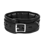 sponge collar with leash